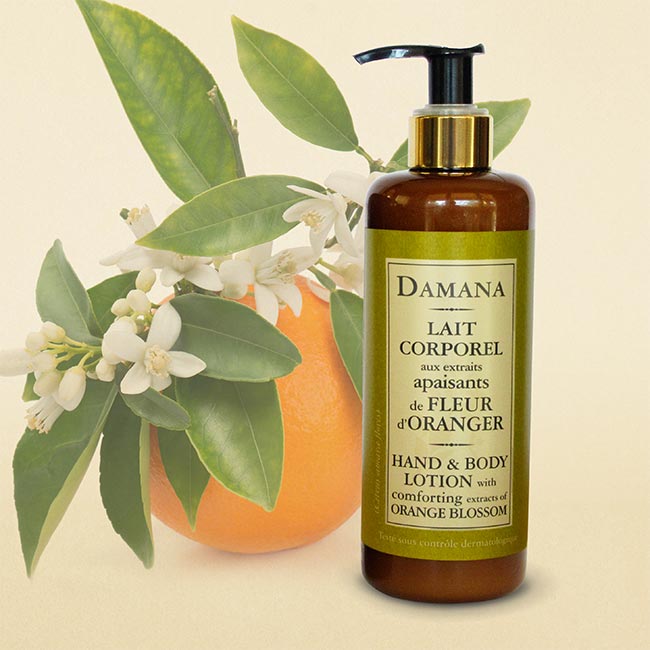https://america-galindez.com/shop/hospitality/organic-collection/hand-body-lotion-enhanced-with-extracts-of-orange-blossom/
