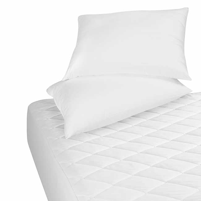 anti-begbug-pillow-protector