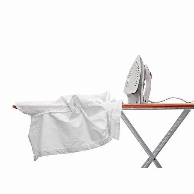 classic-steam-iron-boasts