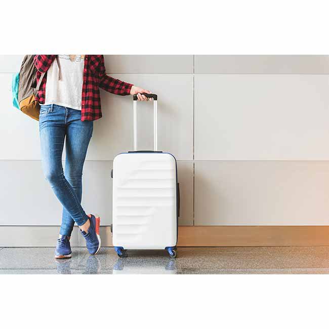 travel-iron-sunbeam-on-stick